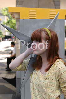 070603_0673