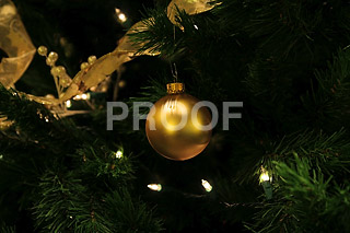 081205_0835